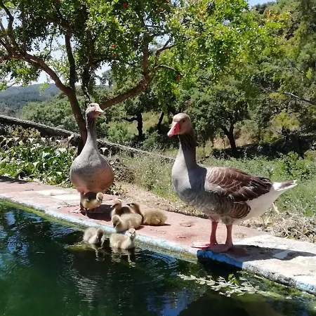 El Charcon Holiday home
